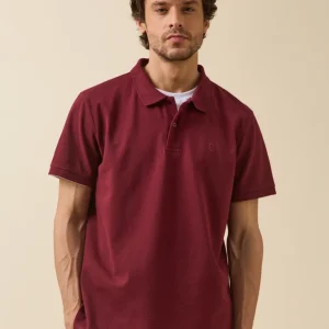 Polo uni maille piquée homme coton biologique