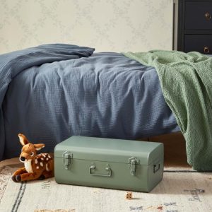 Malle de rangement en métal