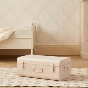 Malle de rangement en métal