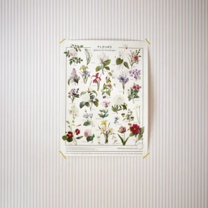 Affiche Fleurs - Collection Les Jolies Planches