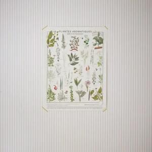 Affiche Plantes Botaniques - Collection Les Jolies Planches