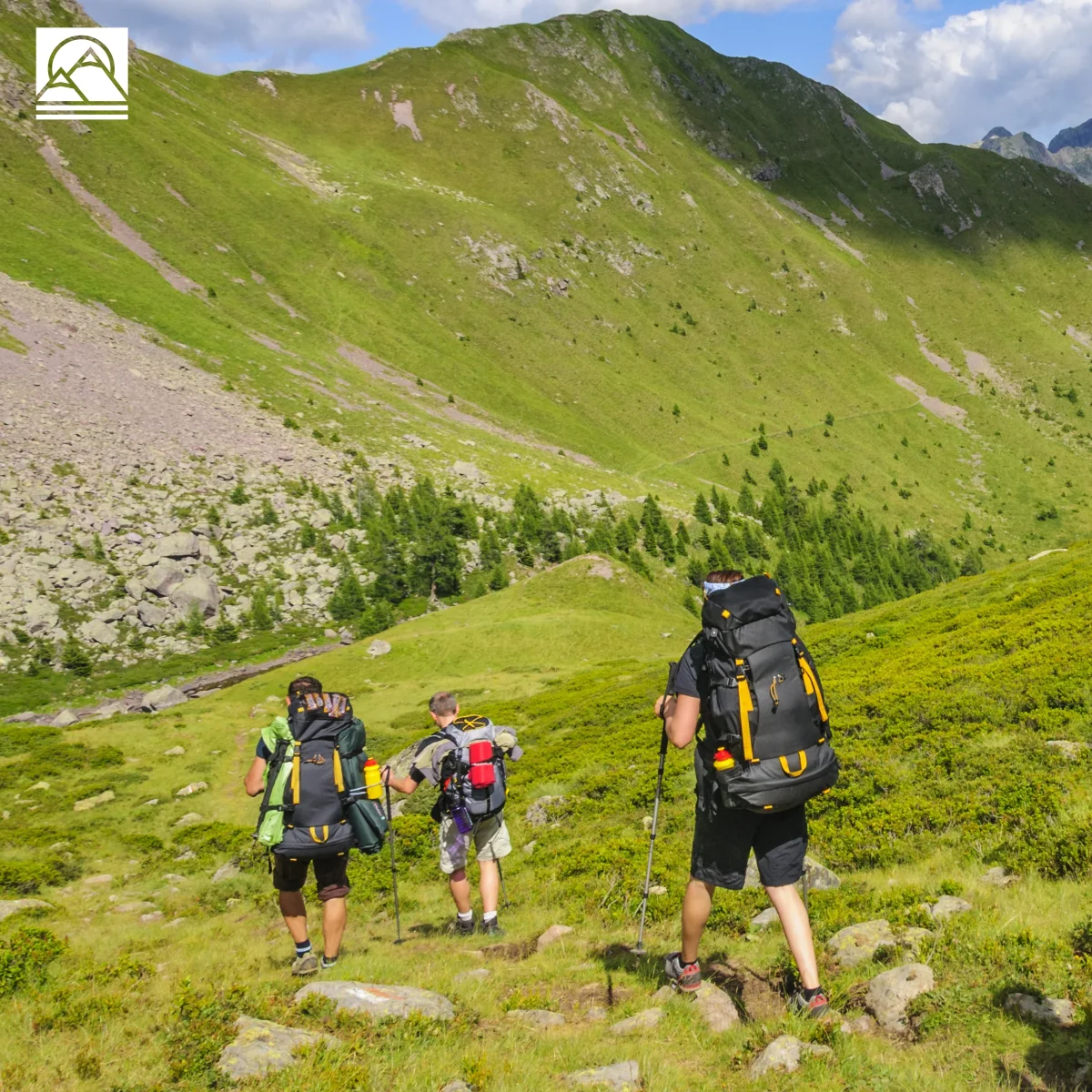 Chaussures Trekking Randonnée Homme - Imperméable DWZ-ALPINE – Image 9