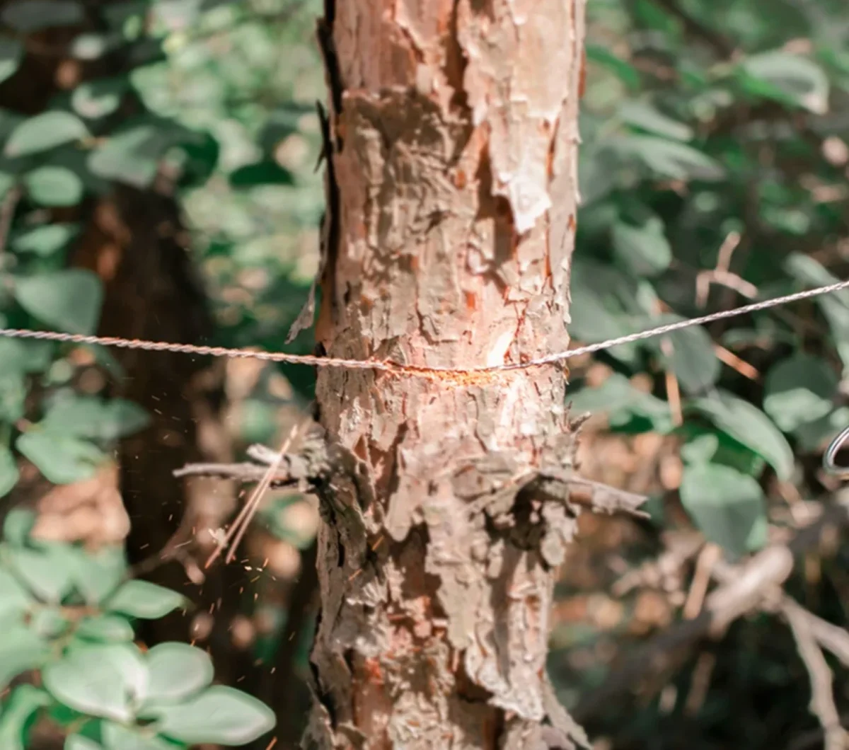 Scie à Fil Militaire de Survie - Chaîne Trekking - Camping – Image 3